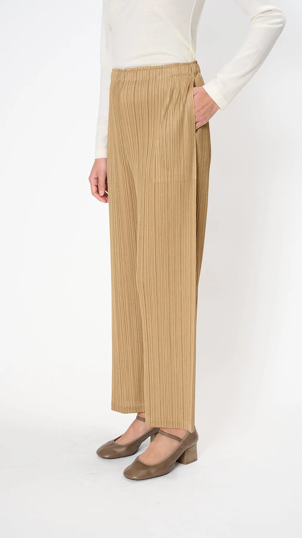 December Monthly Colors Pants in Sand Beige