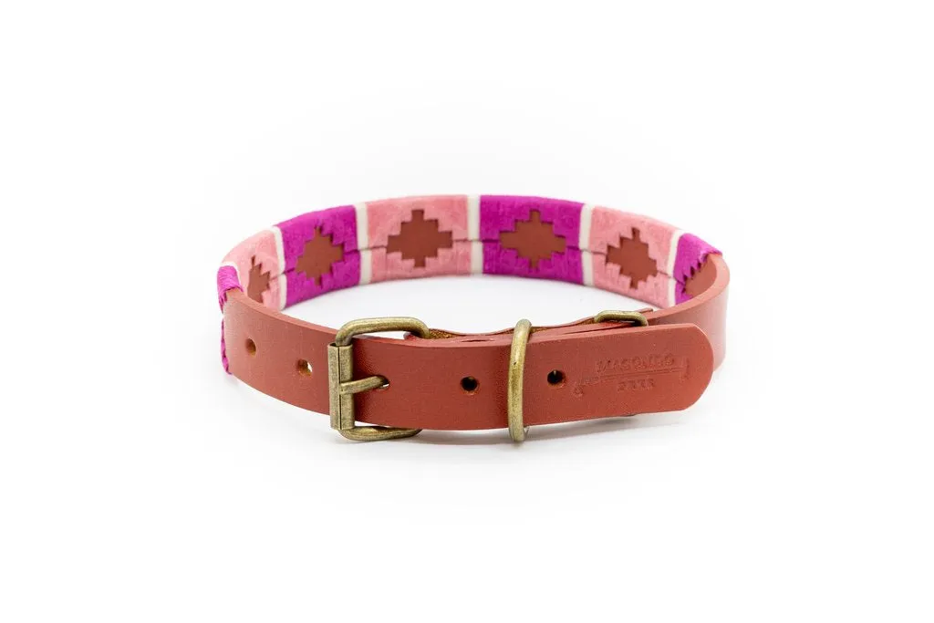 Dog Collar | Gitana | Macondo Belts