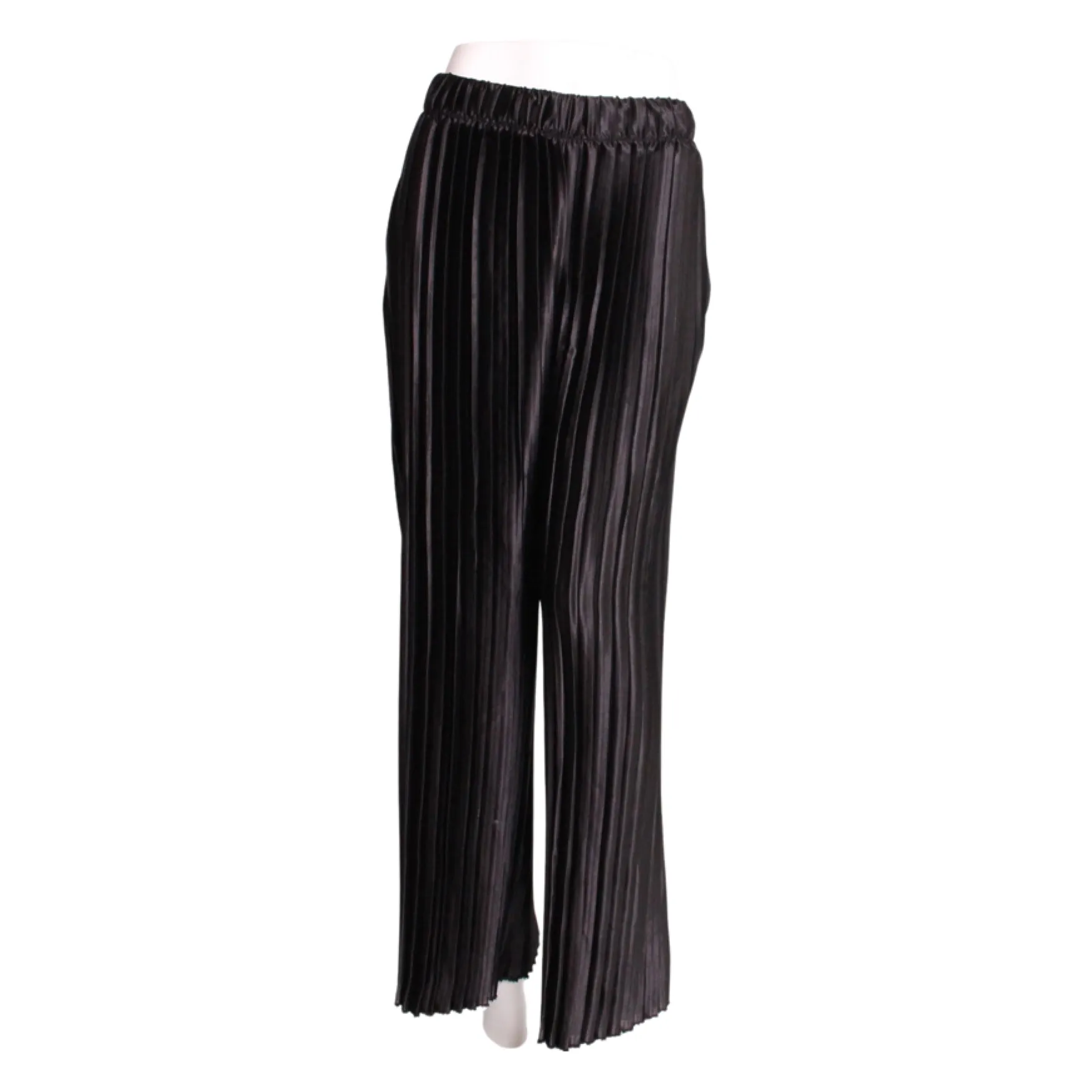 Pleated Pants